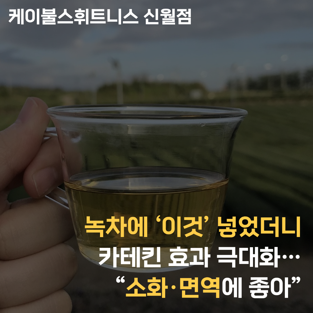 카테킨 효과: 최신 근거 및 주의사항 완벽 정리
