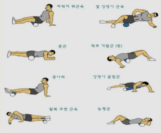 폼롤러 사용법 / 필라테스 폼롤러 이용해서 운동하는 팁 관련 이미지