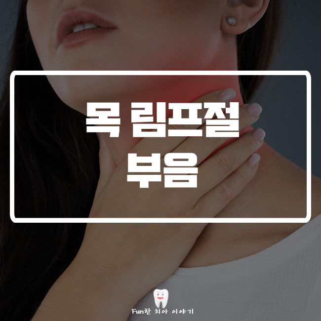 림프절 부음, 핵심 체크 포인트와 상담 기준 완벽 가이드