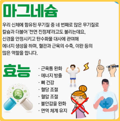 마그네슘 효능 눈밑 떨림 관련 이미지