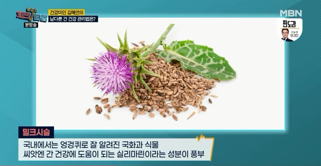 밀크씨슬 효능 실리마린 밀크시슬 추천 관련 이미지