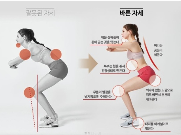 스쿼트 효과, 근거와 주의사항 최신 정리: 똑똑하게 시작하기
