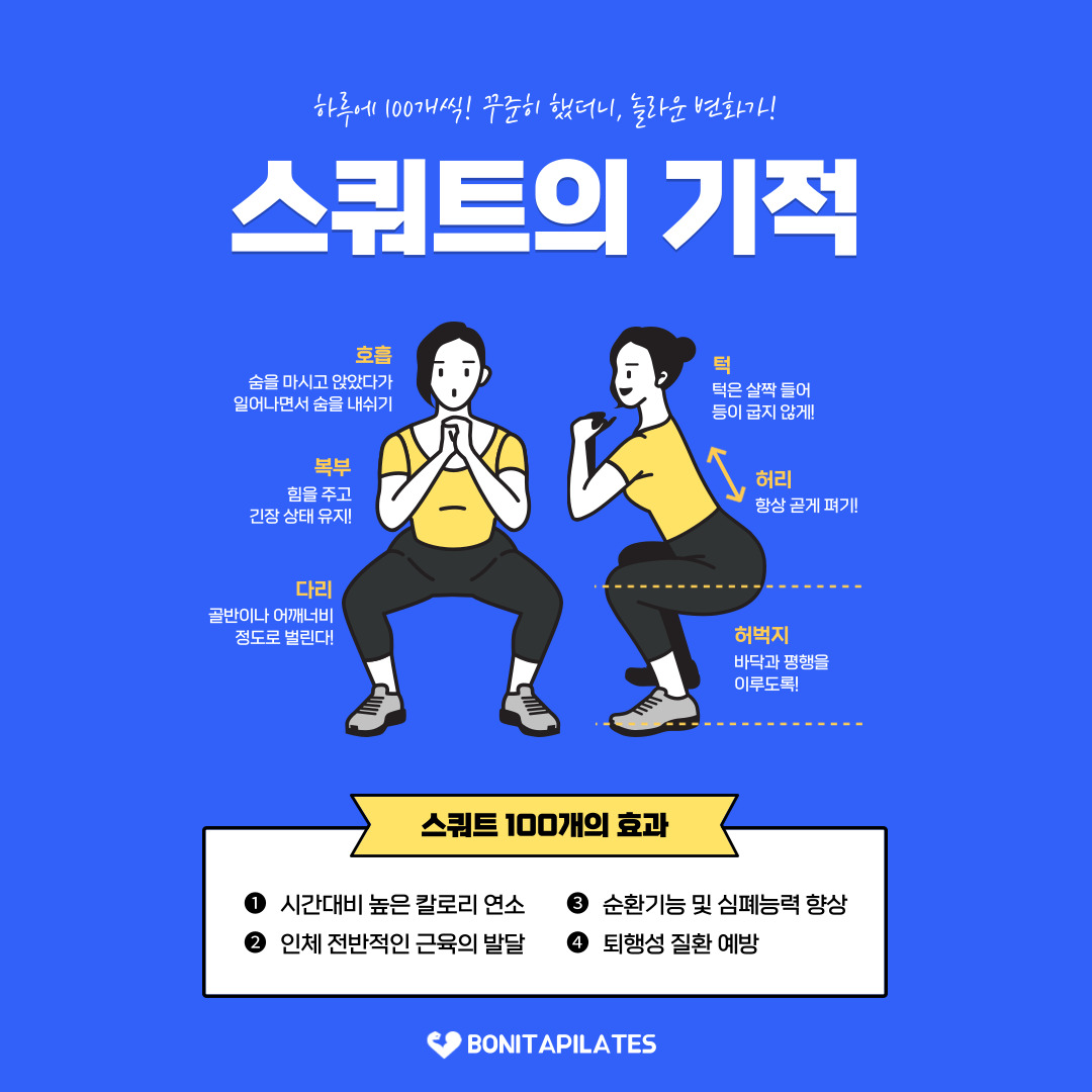 보니따 필라테스 수원 곡반점 : 스쿼트 효과 (수원 필라테스, 권선구 필라테스, 곡반정동 필라테스, 기구 필라테스) 관련 이미지