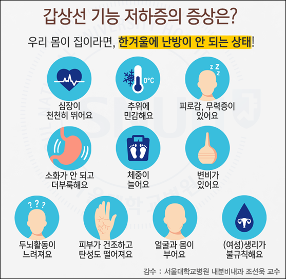 갑상선 기능 저하증 최신 정보와 확인 포인트: 무엇을 알아야 할까